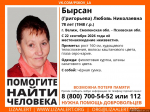 Изображение: группа поискового отряда «ЛизаАлерт» в соцсети «ВКонтакте»