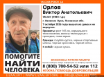 Изображение: группа поискового отряда «ЛизаАлерт» в соцсети «ВКонтакте»