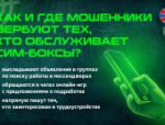 Как мошенники вербуют для обслуживания сим-боксов: объясняет УФСБ