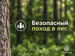 Тихая охота без риска: как не потеряться в лесу