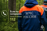 Тихая охота без риска: как не потеряться в лесу