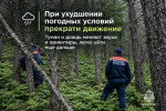 Тихая охота без риска: как не потеряться в лесу