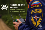 Тихая охота без риска: как не потеряться в лесу