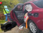 Два человека и собака погибли в результате ДТП в Невельском районе
