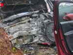 Два человека и собака погибли в результате ДТП в Невельском районе