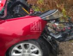 Два человека и собака погибли в результате ДТП в Невельском районе