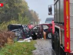 Два человека и собака погибли в результате ДТП в Невельском районе