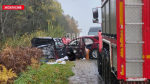 Двое взрослых и собака погибли в результате ДТП в Невельском районе