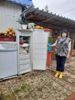 В Псковской области продолжается сбор корма для бездомных животных в Невеле