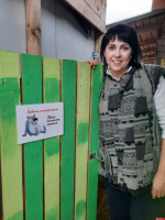 В Псковской области продолжается сбор корма для бездомных животных в Невеле