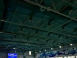 28 пловцов из Псковской области выступают на чемпионате и первенстве СЗФО в Кингисеппе