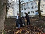 Субботник провели сотрудники администрации в Пушкинских Горах