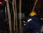 В Гдовском районе иномарка опрокинулась в кювет: пострадал один человек