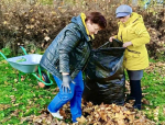 Территория заботы: в Псковском районе проходят традиционные осенние субботники
