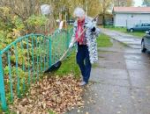 Территория заботы: в Псковском районе проходят традиционные осенние субботники