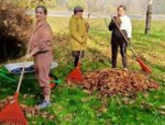 Территория заботы: в Псковском районе проходят традиционные осенние субботники