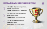 Как принять участие в «Губернаторском дневнике»: ответы для школьников