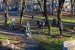 Порядка 280 кубометров осенней листвы и веток собрали участники субботника в Ботаническом саду Пскова
