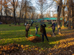 Порядка 280 кубометров осенней листвы и веток собрали участники субботника в Ботаническом саду Пскова