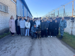 Школьников Псковского округа продолжают знакомить с правилами безопасности через игру