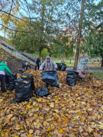 Общегородской субботник прошел в Пскове